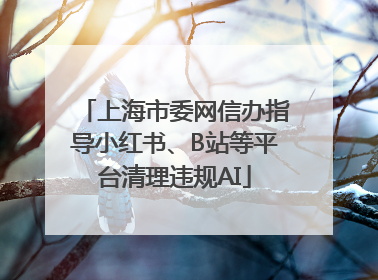 上海市委网信办指导小红书、B站等平台清理违规AI