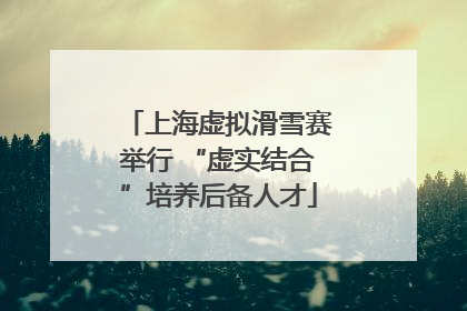 上海虚拟滑雪赛举行 “虚实结合”培养后备人才