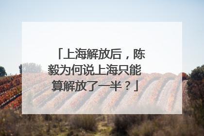 上海解放后，陈毅为何说上海只能算解放了一半？