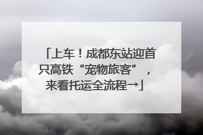 上车！成都东站迎首只高铁“宠物旅客”，来看托运全流程→