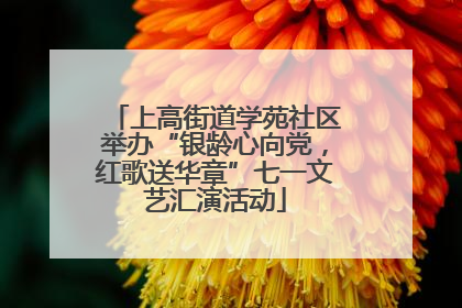 上高街道学苑社区举办“银龄心向党，红歌送华章”七一文艺汇演活动
