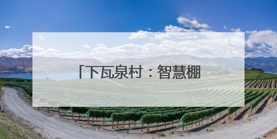 下瓦泉村：智慧棚种出“共富菜”