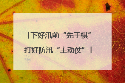 下好汛前“先手棋” 打好防汛“主动仗”