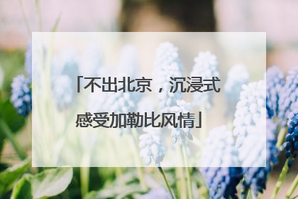 不出北京，沉浸式感受加勒比风情