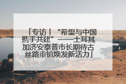 专访丨“希望与中国携手共建”——土耳其加济安泰普市长期待古丝路重镇焕发新活力
