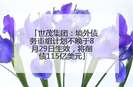世茂集团：境外债务重组计划不晚于8月29日生效，将削债115亿美元