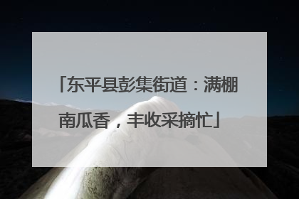 东平县彭集街道：满棚南瓜香，丰收采摘忙