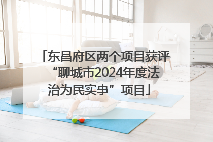 东昌府区两个项目获评“聊城市2024年度法治为民实事”项目