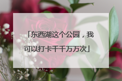 东西湖这个公园，我可以打卡千千万万次