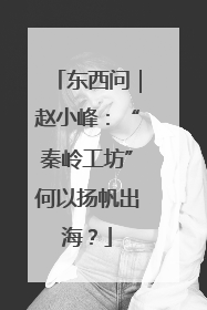 东西问｜赵小峰：“秦岭工坊”何以扬帆出海？