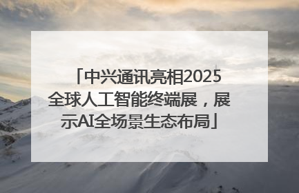 中兴通讯亮相2025全球人工智能终端展，展示AI全场景生态布局