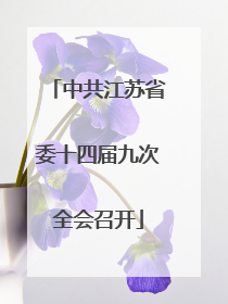 中共江苏省委十四届九次全会召开