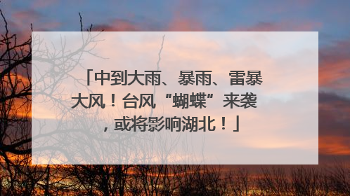 中到大雨、暴雨、雷暴大风！台风“蝴蝶”来袭，或将影响湖北！