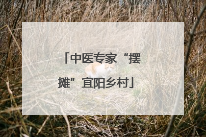 中医专家“摆摊”宜阳乡村