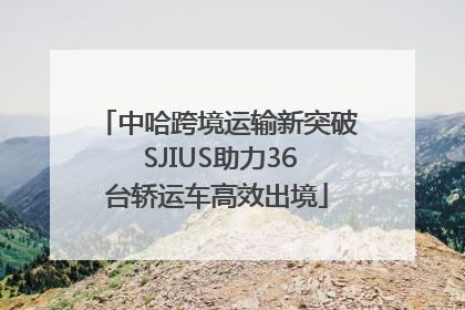 中哈跨境运输新突破 SJIUS助力36台轿运车高效出境