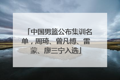 中国男篮公布集训名单，周琦、曾凡博、雷蒙、廖三宁入选