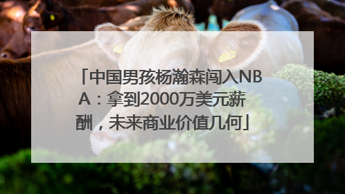 中国男孩杨瀚森闯入NBA：拿到2000万美元薪酬，未来商业价值几何