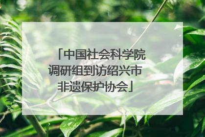 中国社会科学院调研组到访绍兴市非遗保护协会