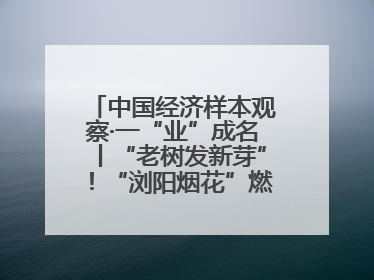 中国经济样本观察·一“业”成名丨“老树发新芽”！“浏阳烟花”燃亮世界