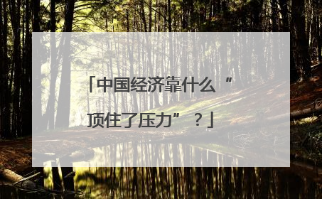 中国经济靠什么“顶住了压力”？