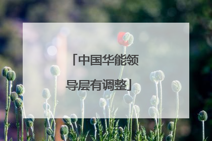 中国华能领导层有调整
