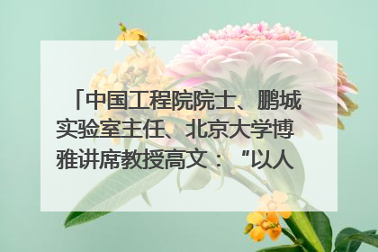 中国工程院院士、鹏城实验室主任、北京大学博雅讲席教授高文：“以人为本 智能向善” 推动文化与科技相生相促｜聚焦2025文化强国建设高峰论坛