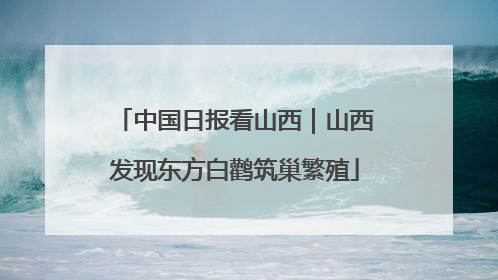 中国日报看山西｜山西发现东方白鹳筑巢繁殖