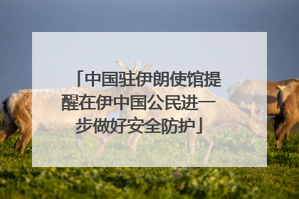 中国驻伊朗使馆提醒在伊中国公民进一步做好安全防护
