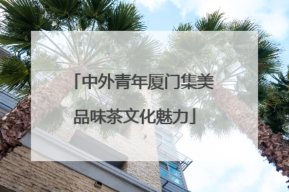中外青年厦门集美品味茶文化魅力