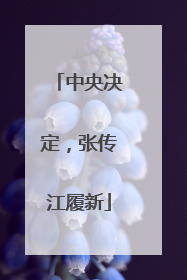 中央决定，张传江履新