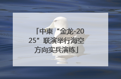 中柬“金龙-2025”联演举行海空方向实兵演练