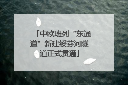 中欧班列“东通道”新建绥芬河隧道正式贯通