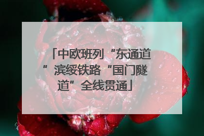 中欧班列“东通道”滨绥铁路“国门隧道”全线贯通