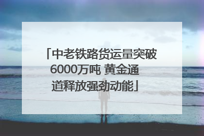 中老铁路货运量突破6000万吨 黄金通道释放强劲动能