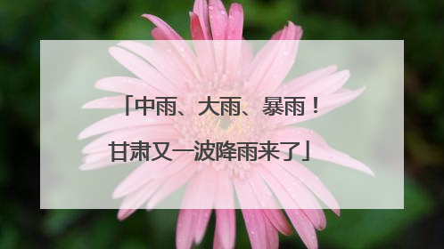 中雨、大雨、暴雨！甘肃又一波降雨来了