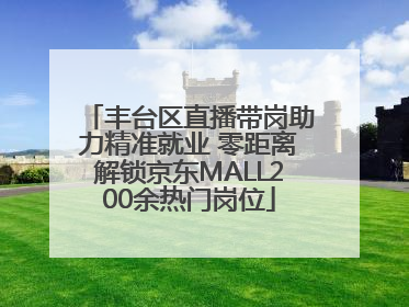 丰台区直播带岗助力精准就业 零距离解锁京东MALL200余热门岗位