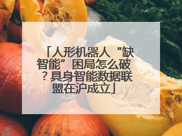 人形机器人“缺智能”困局怎么破？具身智能数据联盟在沪成立