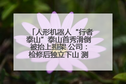 人形机器人“行者泰山”泰山首秀滑倒被抬上担架 公司：检修后独立下山 测试就是为暴露问题