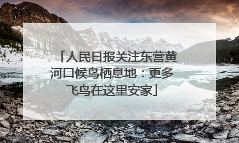 人民日报关注东营黄河口候鸟栖息地：更多飞鸟在这里安家