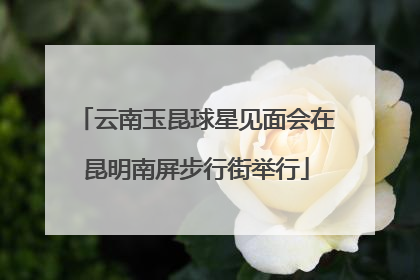 云南玉昆球星见面会在昆明南屏步行街举行
