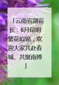 云南省副省长：6月昆明繁花似锦，欢迎大家共赴春城、共聚南博
