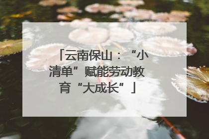 云南保山：“小清单”赋能劳动教育“大成长”