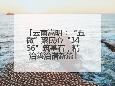 云南嵩明：“五微”聚民心“3456”筑基石，精治善治谱新篇