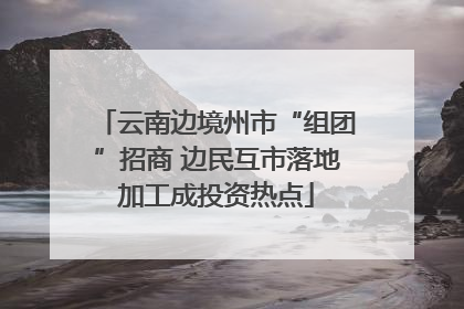 云南边境州市“组团”招商 边民互市落地加工成投资热点