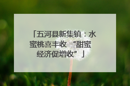 五河县新集镇：水蜜桃喜丰收 “甜蜜经济促增收”