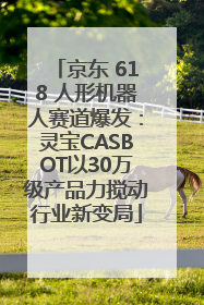 京东 618 人形机器人赛道爆发：灵宝CASBOT以30万级产品力搅动行业新变局