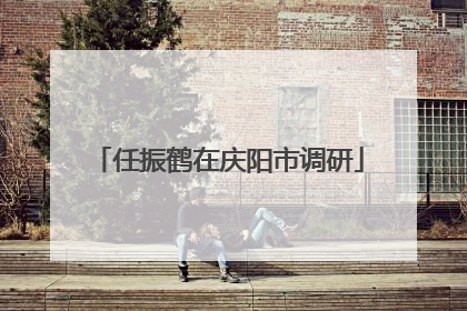 任振鹤在庆阳市调研