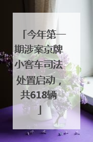今年第一期涉案京牌小客车司法处置启动，共618辆