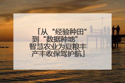 从“经验种田”到“数据种地” 智慧农业为夏粮丰产丰收保驾护航