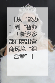 从“能办”到“智办”！新乡多部门亮出营商环境“组合拳”